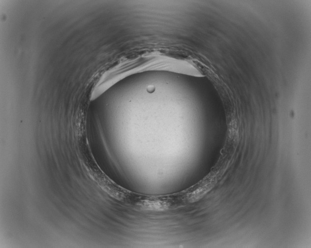 X0000085760464200703301432