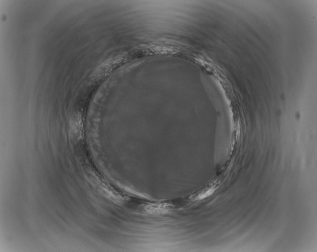 X0000085760465200703301432