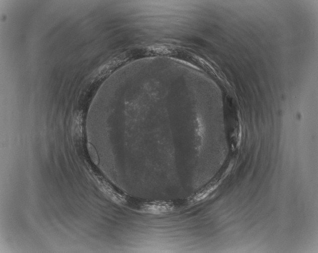 X0000085760466200703301432
