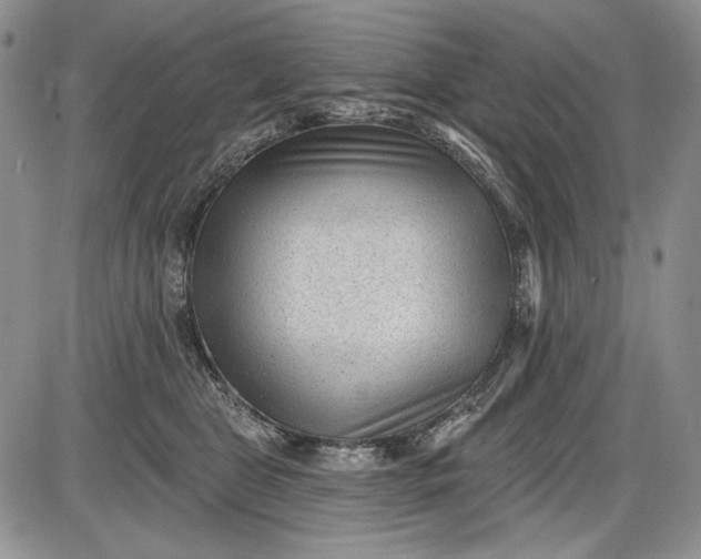 X0000085760469200703301432