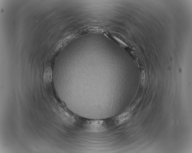 X0000085760474200703301433
