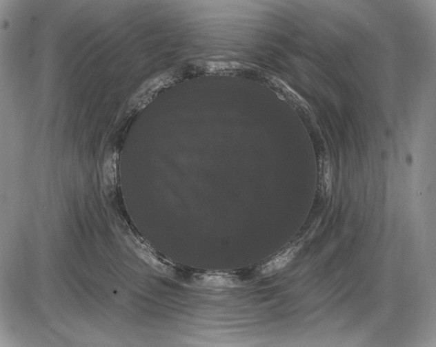 X0000085760475200703301433