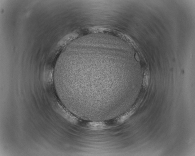 X0000085760477200703301433
