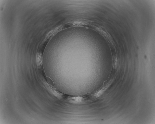 X0000085760478200703301433