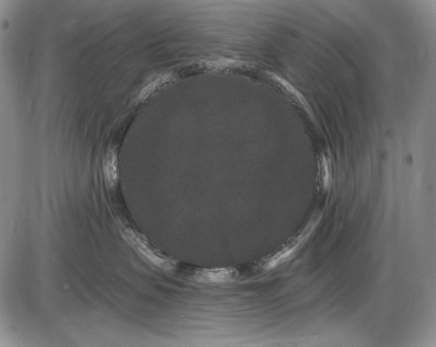 X0000085760479200703301433