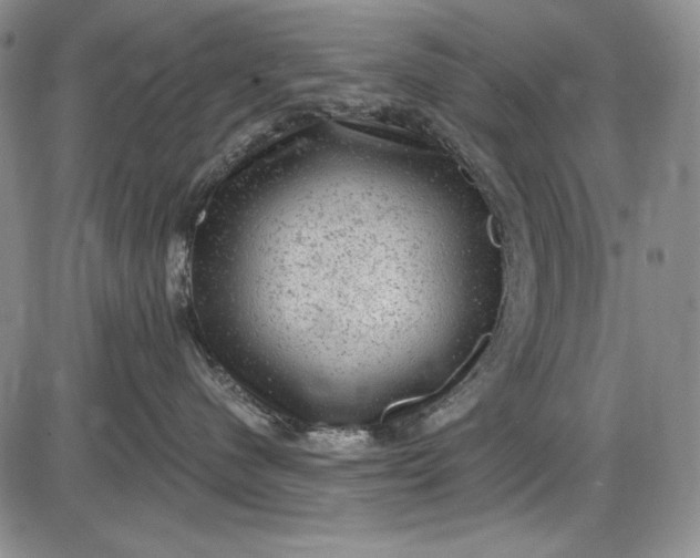 X0000085760480200703301433