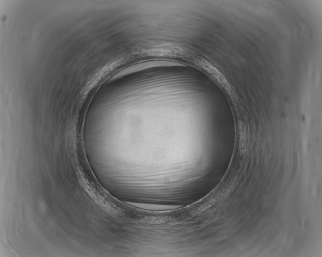 X0000085760482200703301432