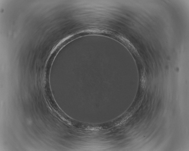 X0000085760484200703301432