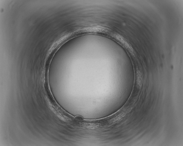 X0000085760486200703301432
