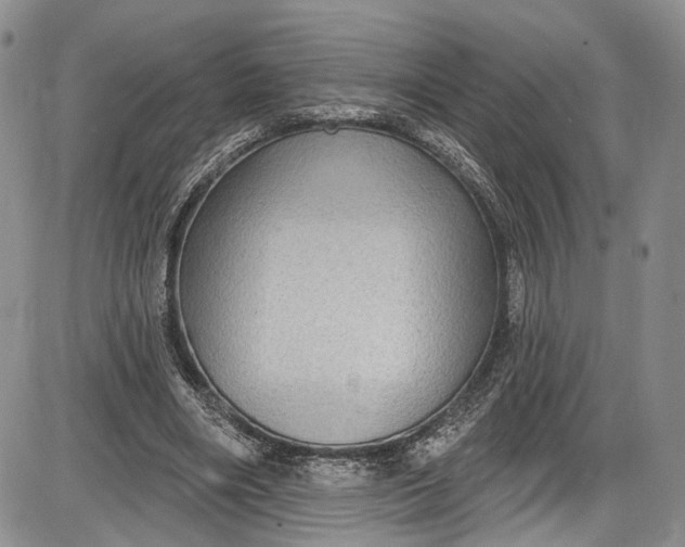 X0000085760490200703301432