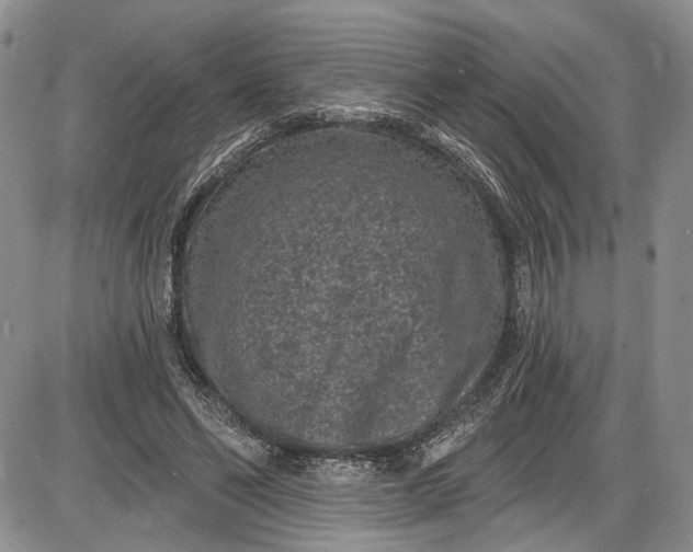 X0000085760494200703301432