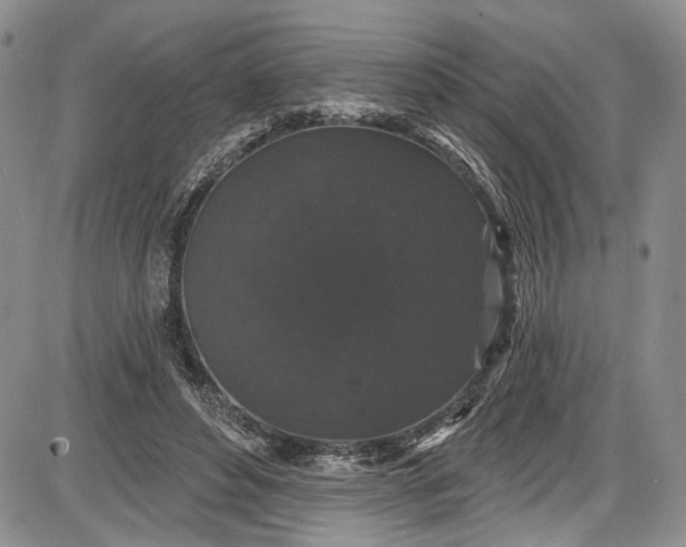 X0000085760496200703301432