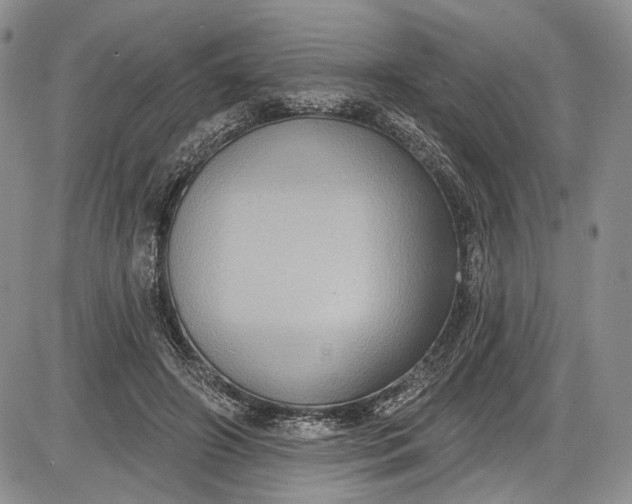X0000085760498200703301432
