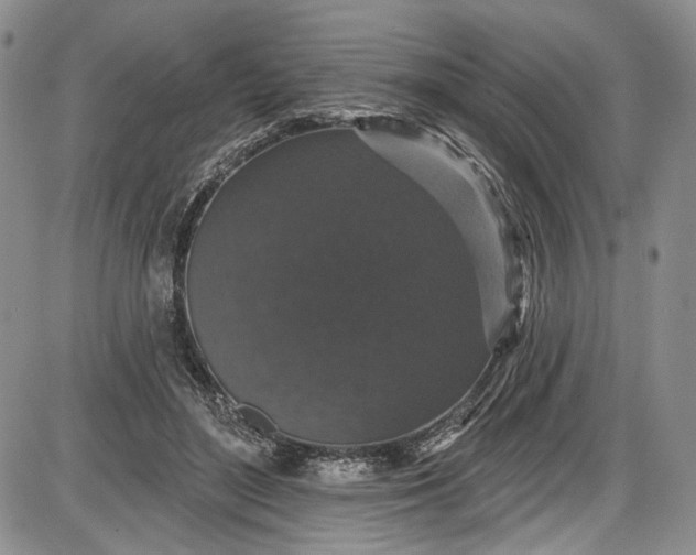 X0000085760500200703301431