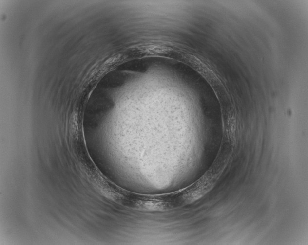 X0000085760506200703301431