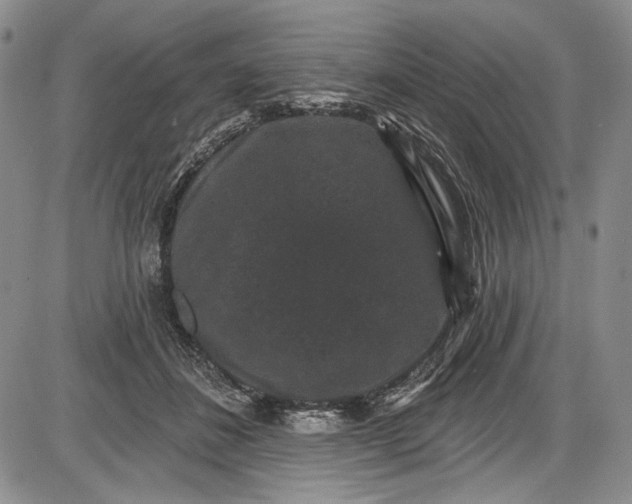 X0000085760508200703301431
