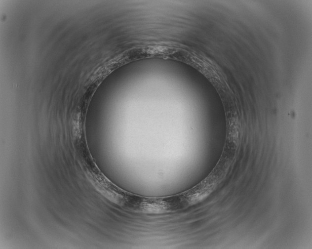 X0000085760510200703301431