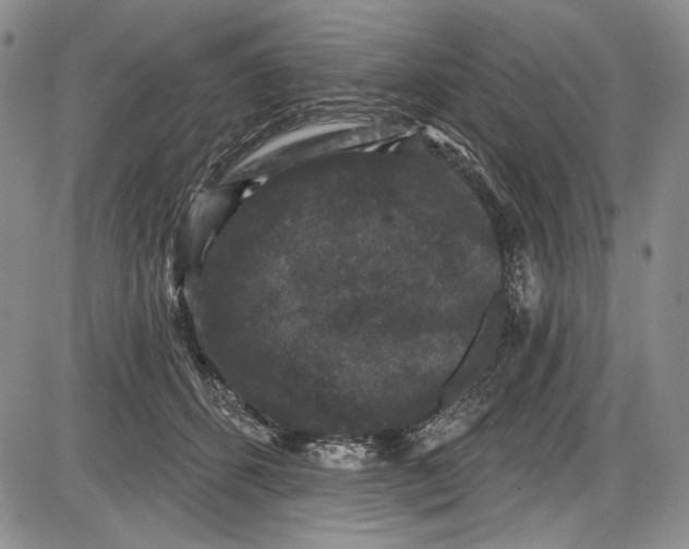 X0000085760512200703301431
