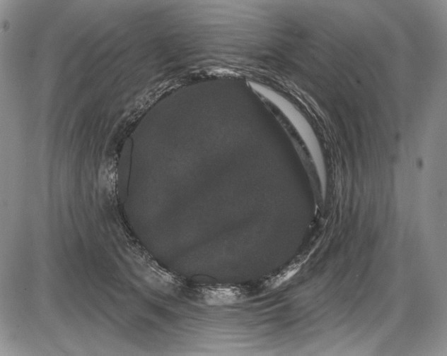 X0000085760513200703301431