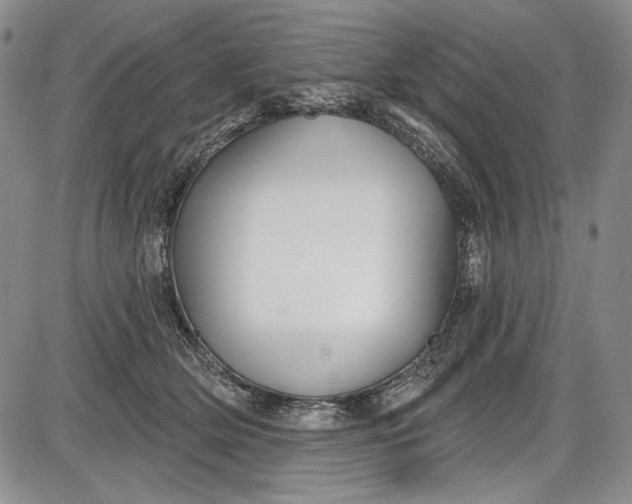 X0000085760514200703301431