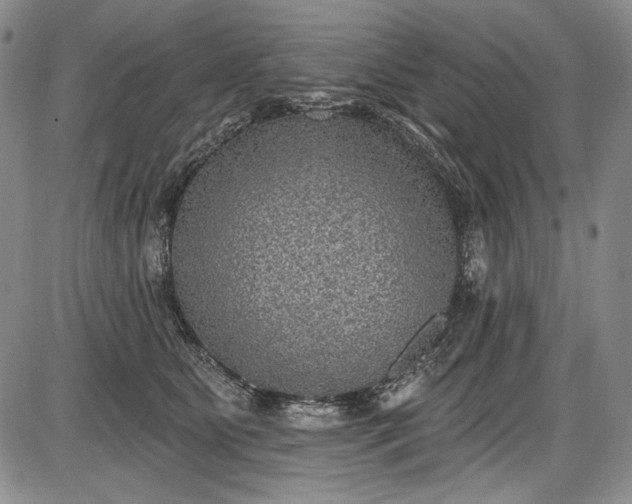 X0000085760515200703301431