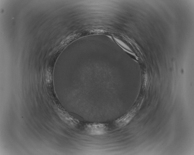 X0000085760517200703301431