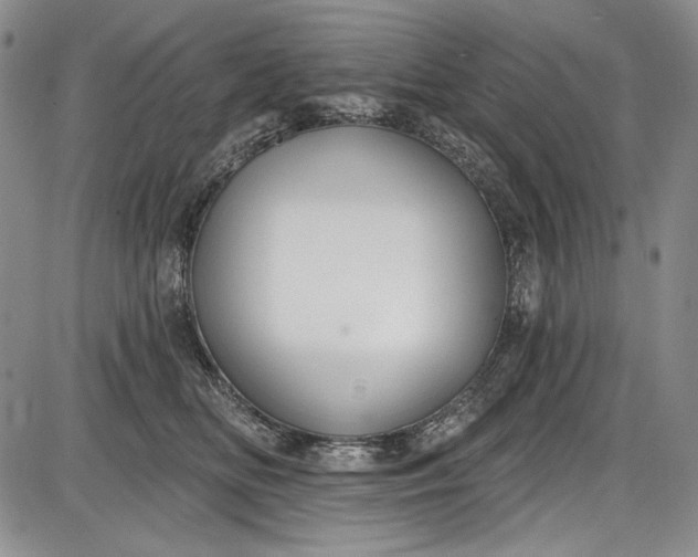 X0000085760518200703301431