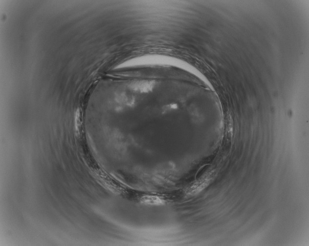 X0000085760519200703301431