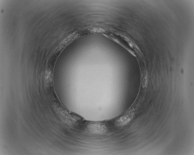 X0000085760521200703301431