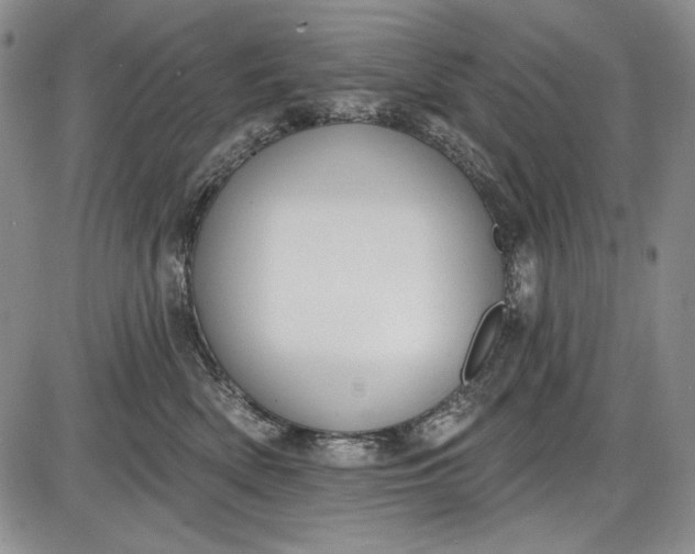 X0000085760522200703301431