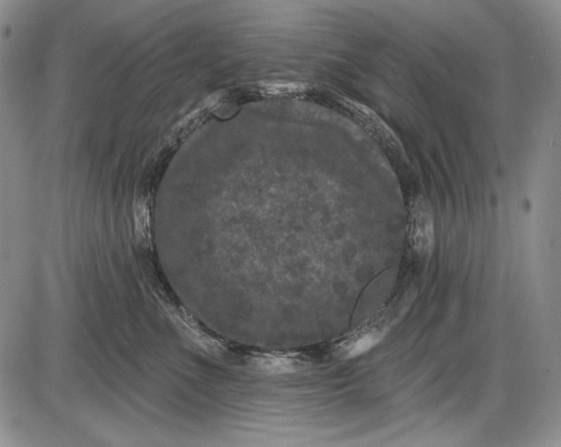 X0000085760523200703301431