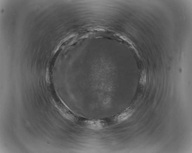 X0000085760524200703301431