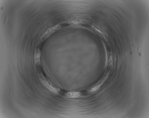X0000085760526200703301431
