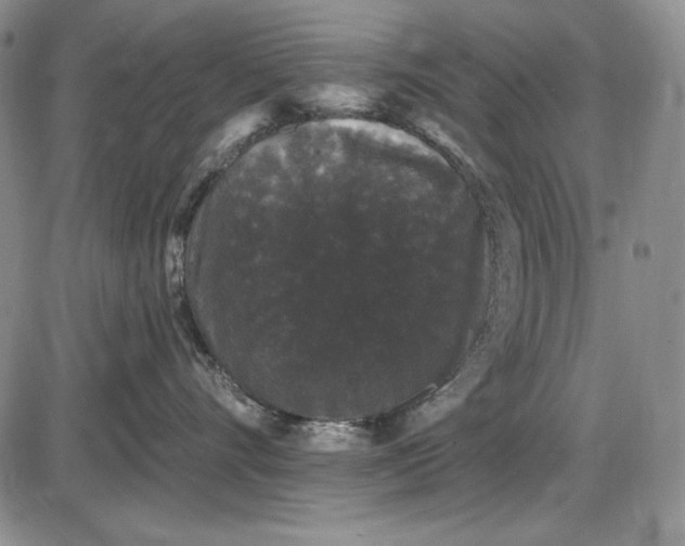 X0000085760528200703301431