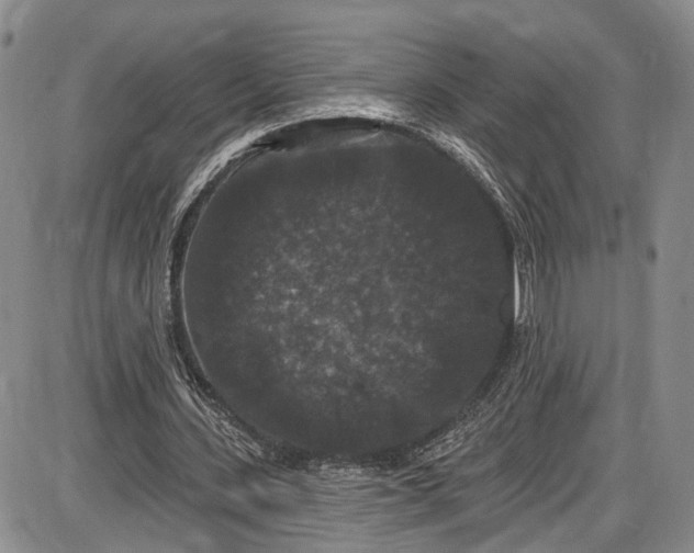X0000085760531200703301430