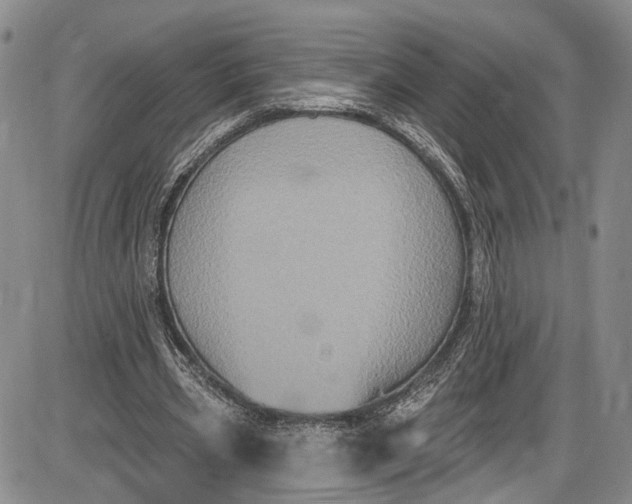 X0000085760533200703301430