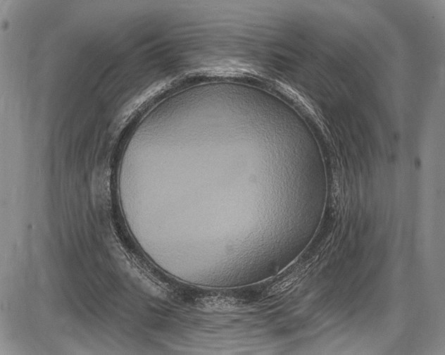 X0000085760535200703301430