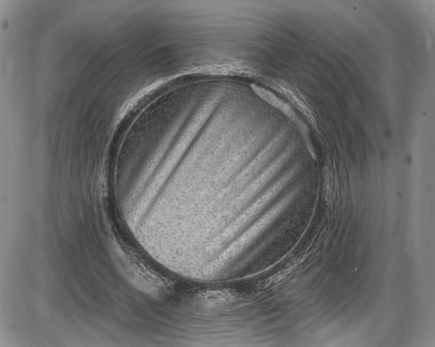 X0000085760536200703301430