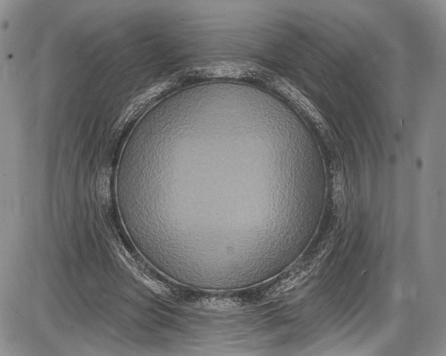 X0000085760537200703301430