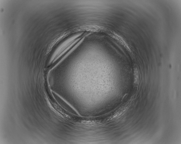 X0000085760538200703301430
