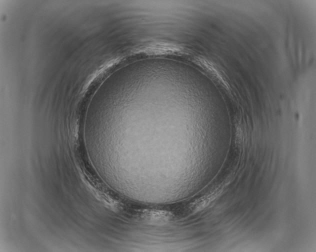 X0000085760539200703301430