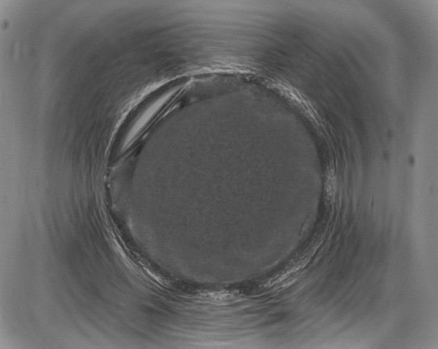 X0000085760540200703301430