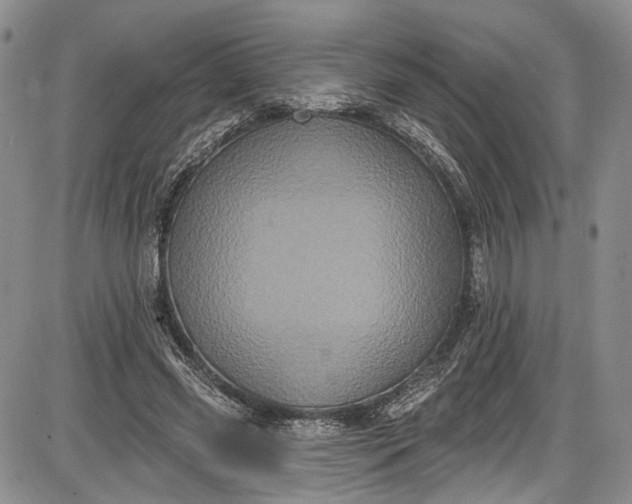 X0000085760541200703301430