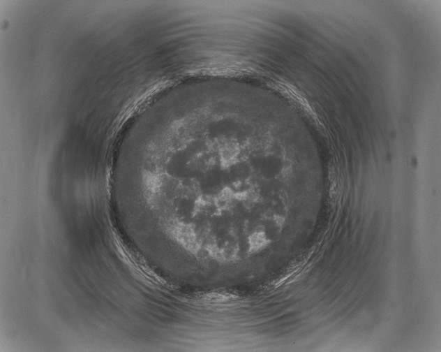 X0000085760542200703301430