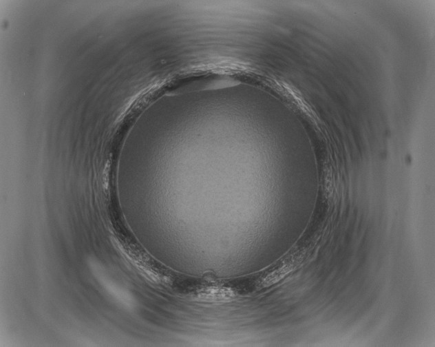 X0000085760543200703301430