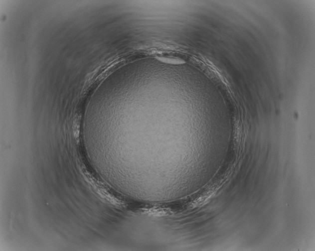 X0000085760545200703301430