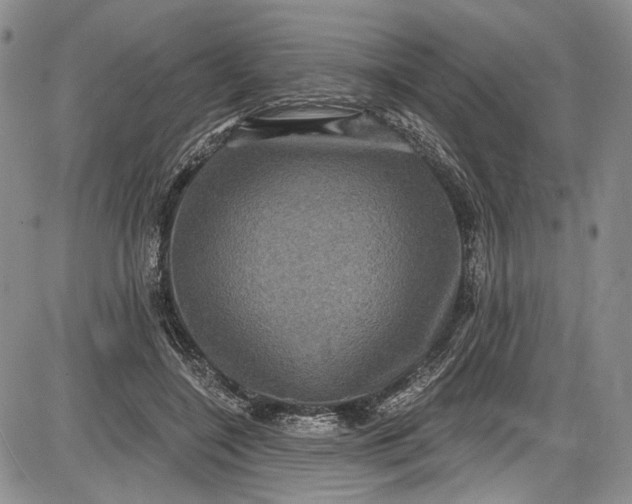 X0000085760548200703301431