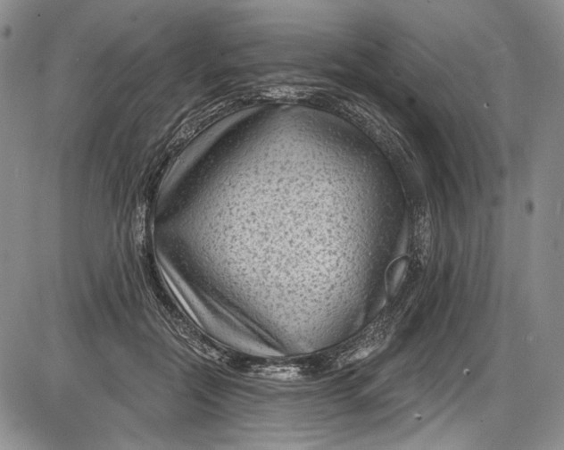 X0000085760554200703301431