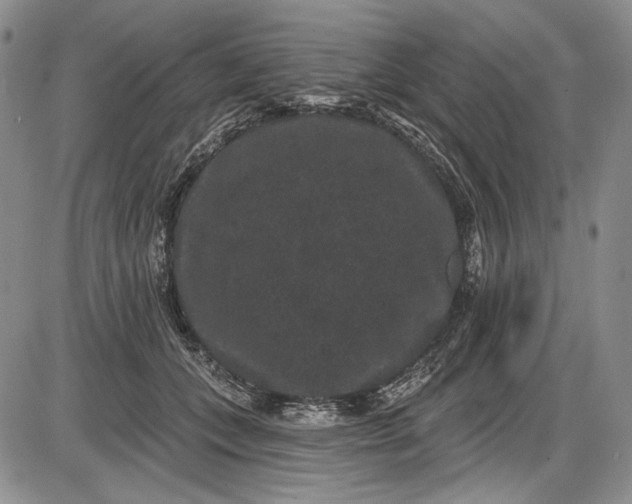 X0000085760559200703301431