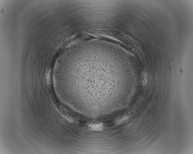 X0000085760560200703301431